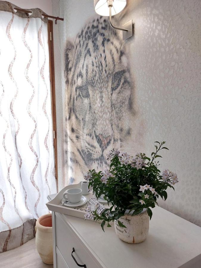 Sweet Home & Wellness Affittacamere Nettuno Buitenkant foto